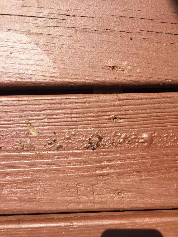 Slide of Jones of Knoxville