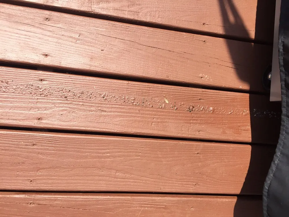 Slide of Jones of Knoxville