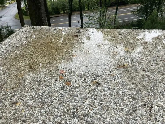 Jones Roofing Company Logo