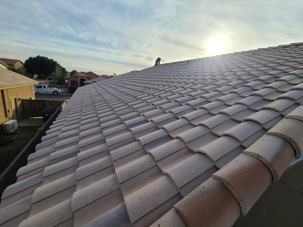 Slide of JORGE THE ROOFING