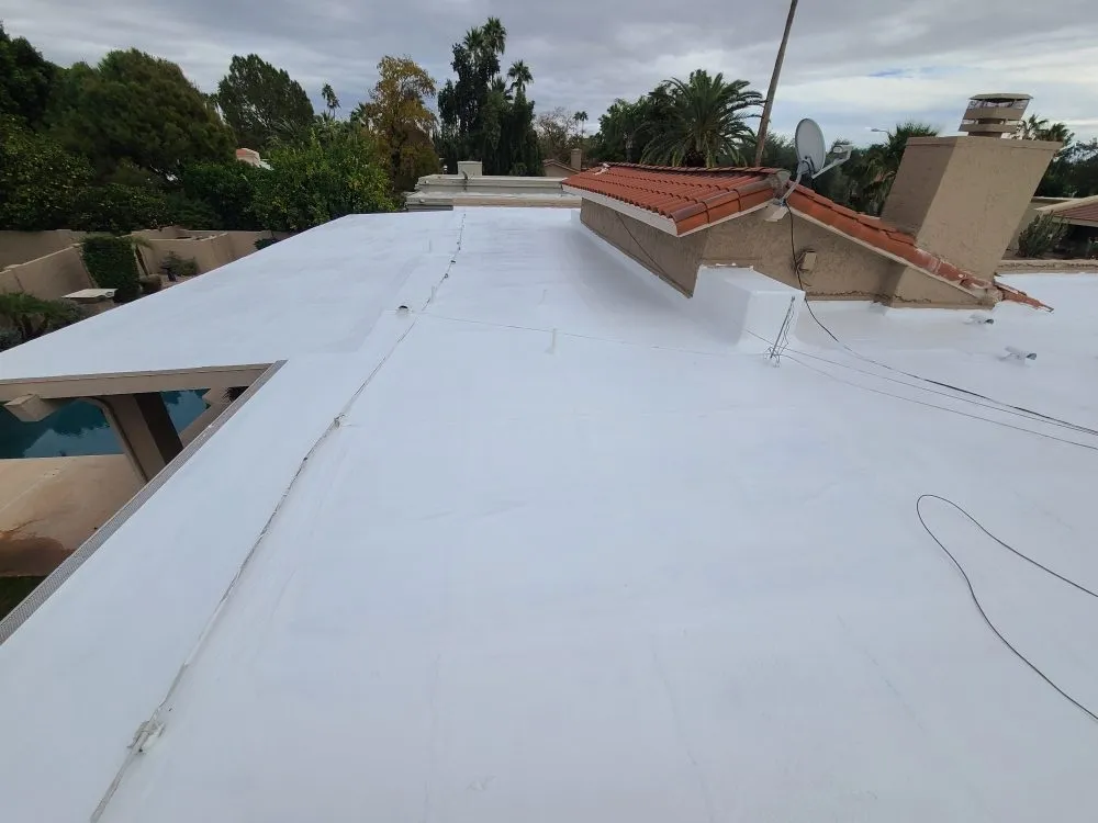 Slide of JORGE THE ROOFING