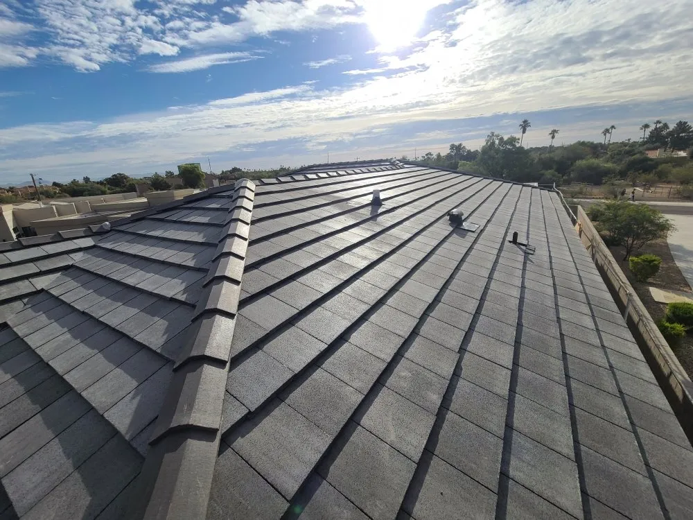 Slide of JORGE THE ROOFING