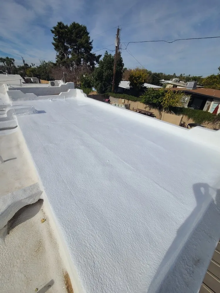 Slide of JORGE THE ROOFING