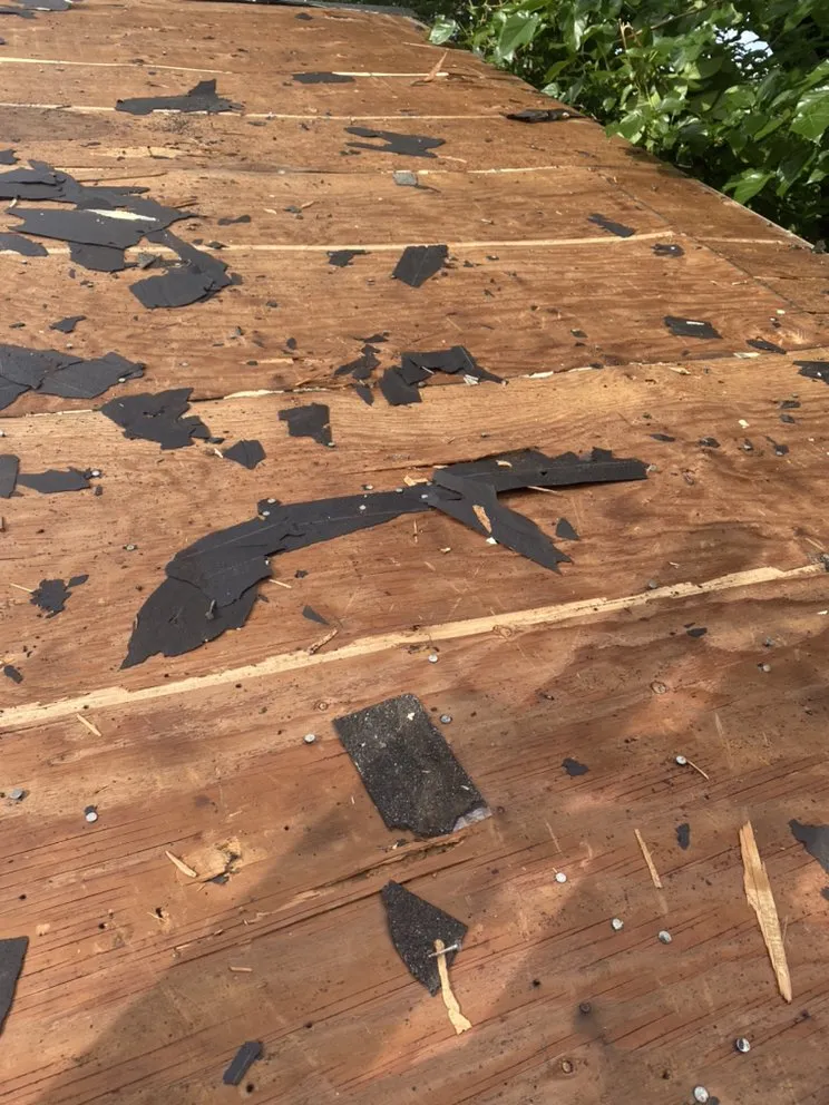 Slide of Jose Gonzalez