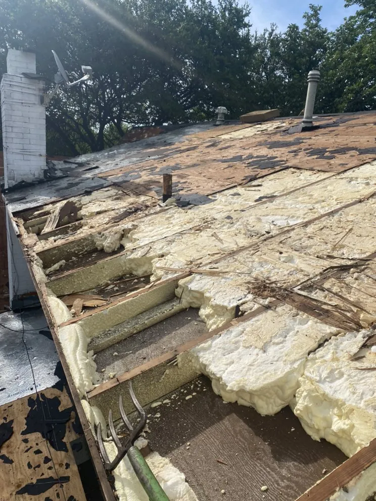 Slide of Jose Gonzalez