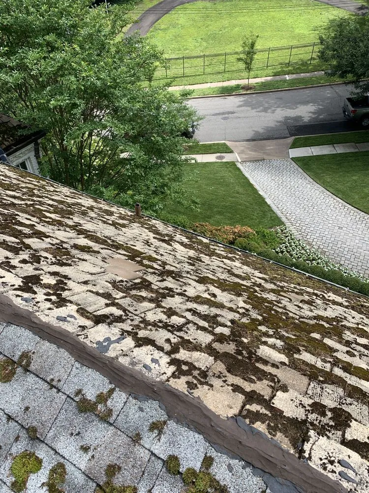 Slide of Jose Roofing System