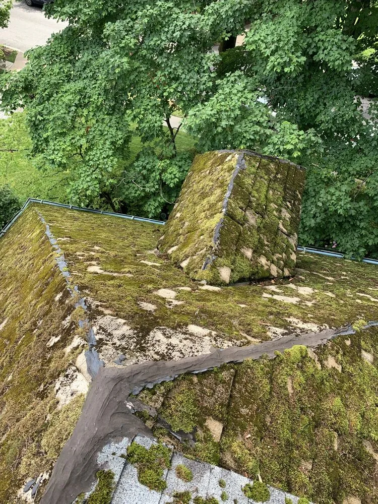 Slide of Jose Roofing System