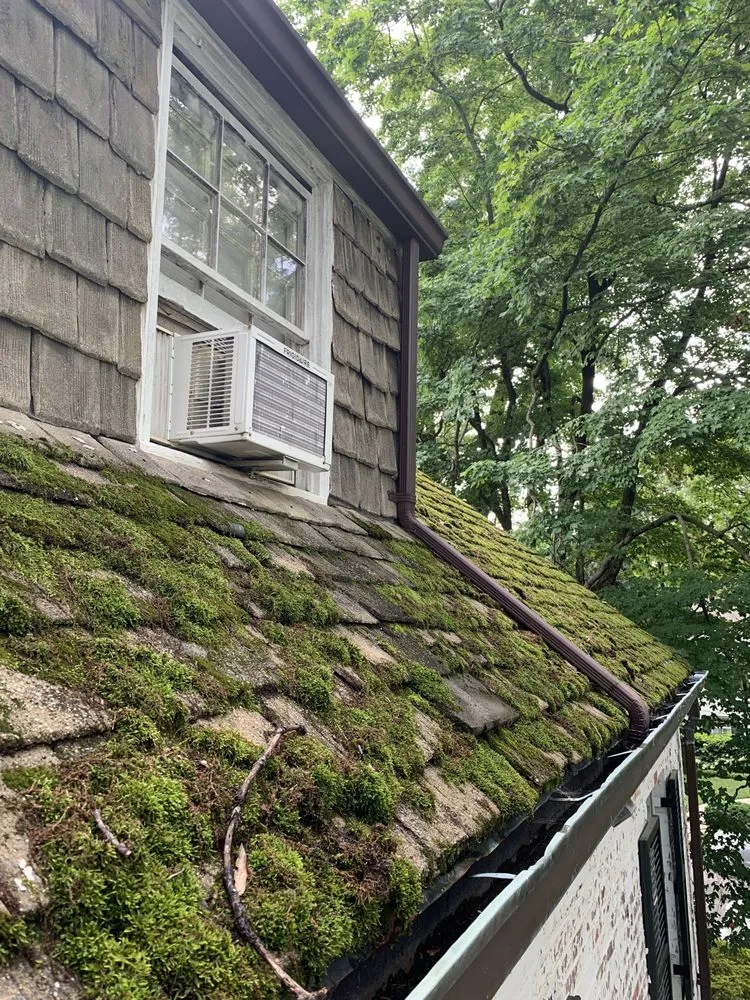 Slide of Jose Roofing System