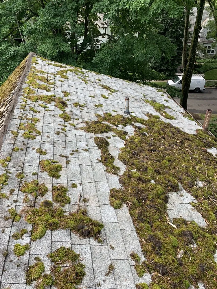 Slide of Jose Roofing System