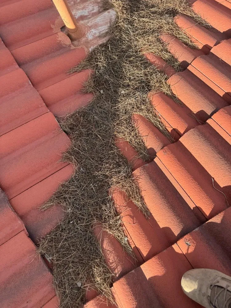 Slide of Jose's Roofing Multi Services