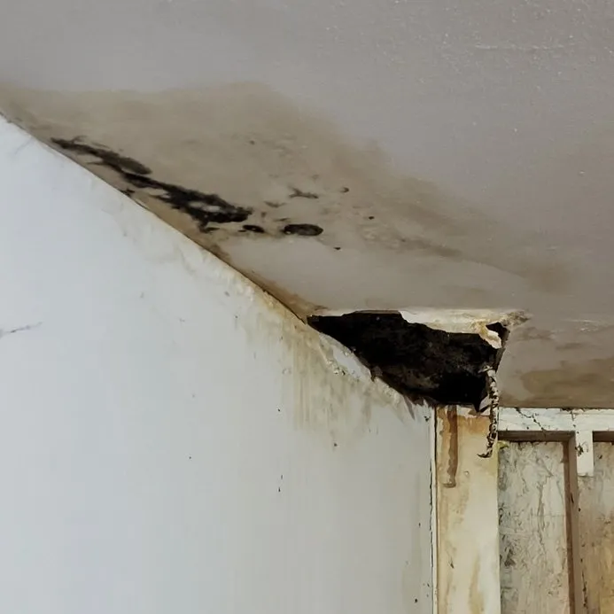 Slide of Josh Martin Roofing