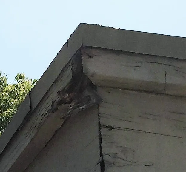 Slide of Joshua King Independent