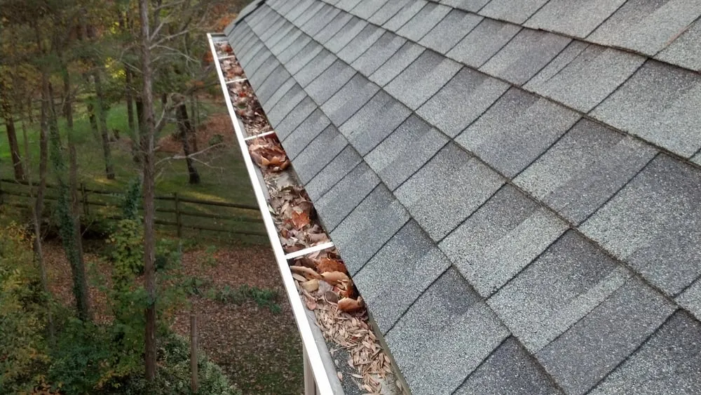 Slide of Jossy Gutter