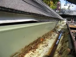 Slide of Jossy Gutter