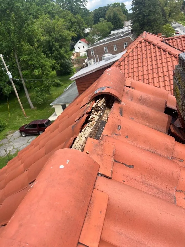 Slide of Joyland Roofing