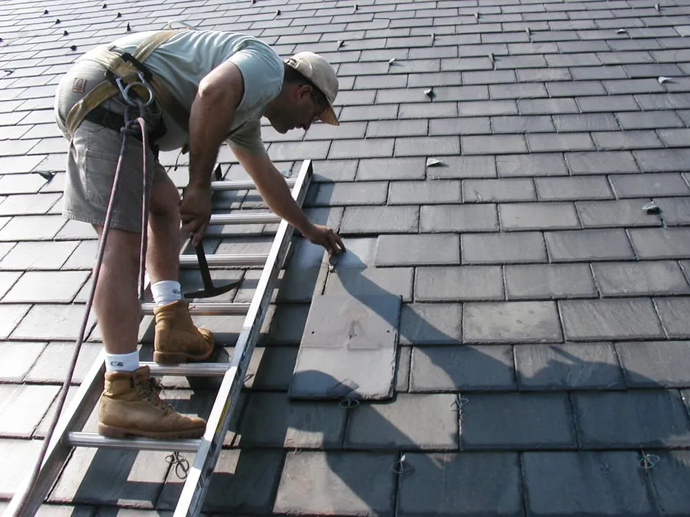 Slide of JP Bachand Contracting