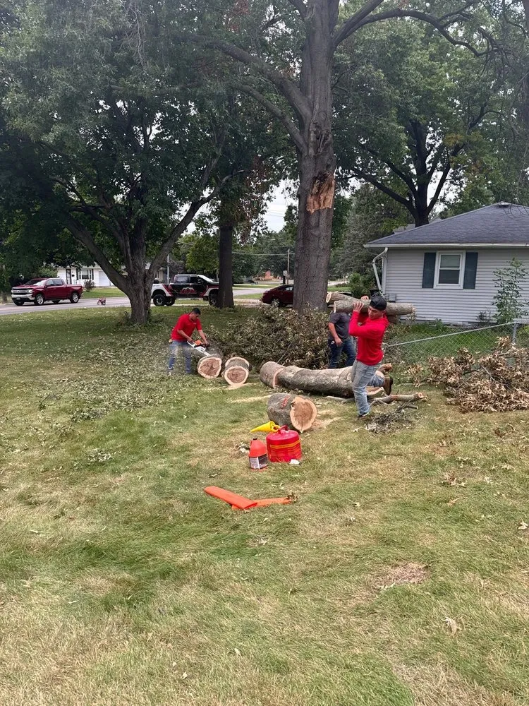 Slide of JP Roofing & Solutions