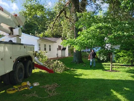 Jps Small Roof Repair And Tree Removal