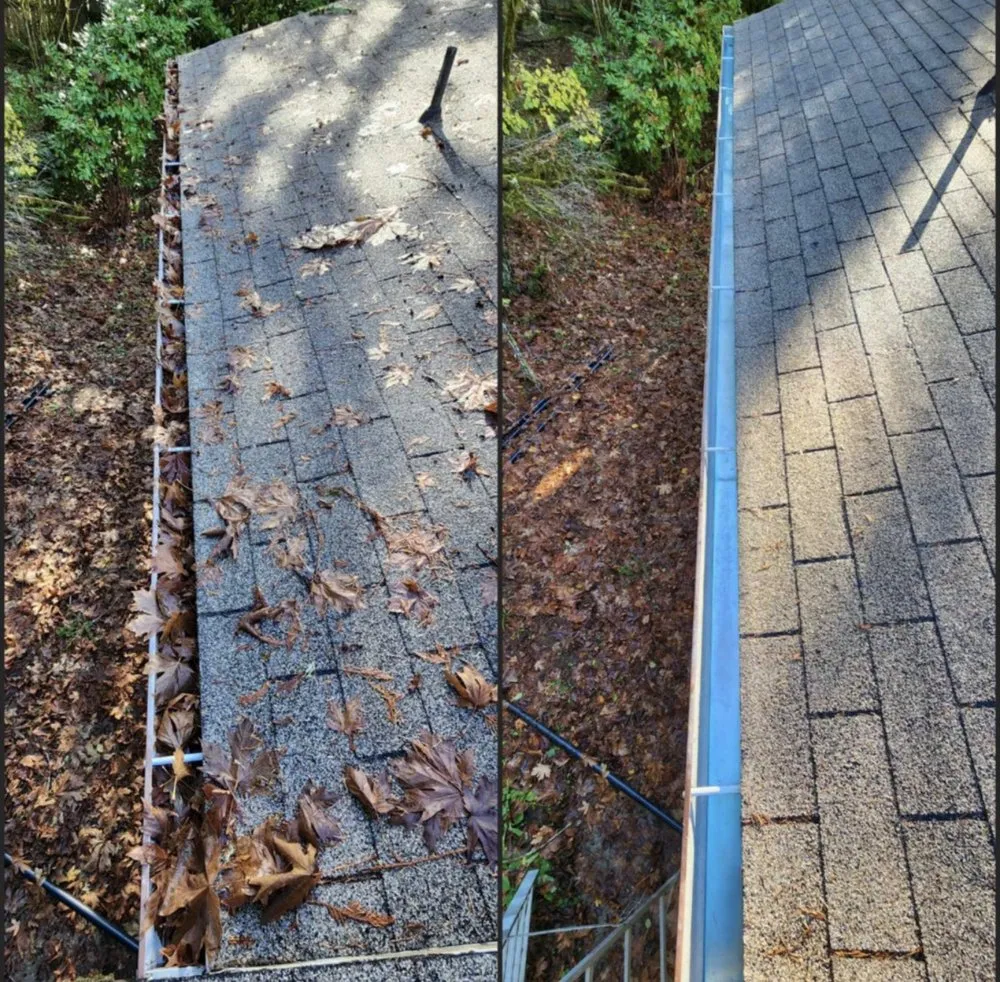 Slide of JR Roof Cleaning