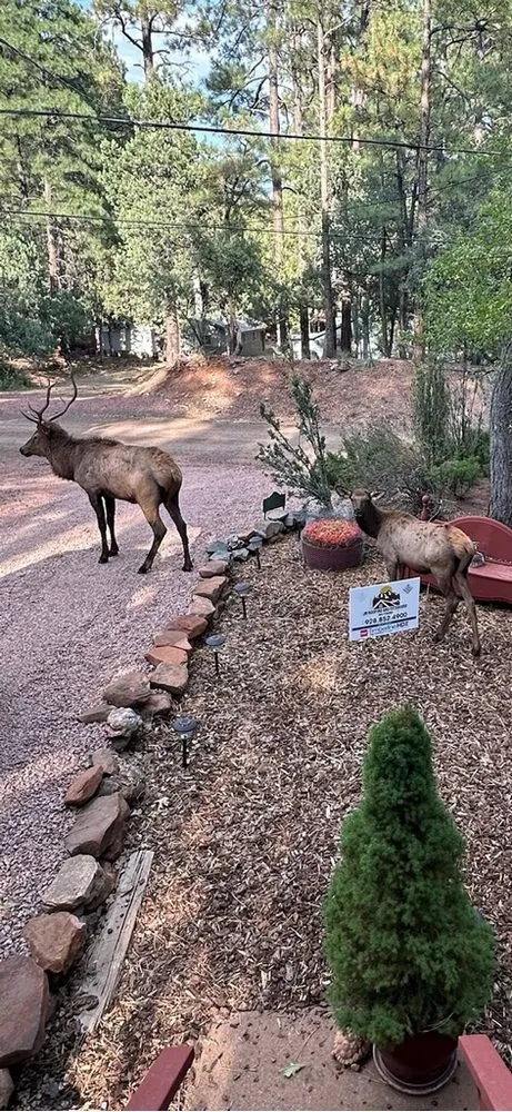 Slide of JR Roofing and Exteriors