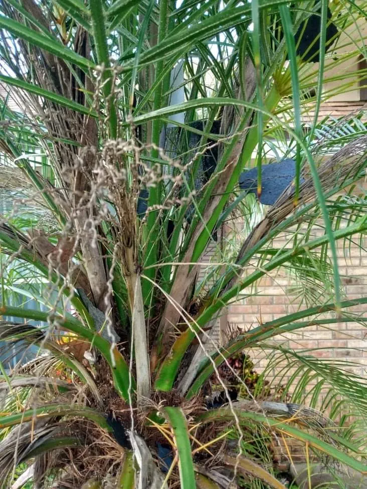 Slide of JRC Home Services