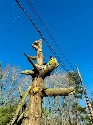 Jrg Construction & Tree Service