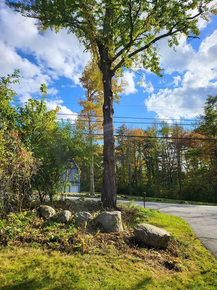 Slide of JRG Exterior Home And Yard