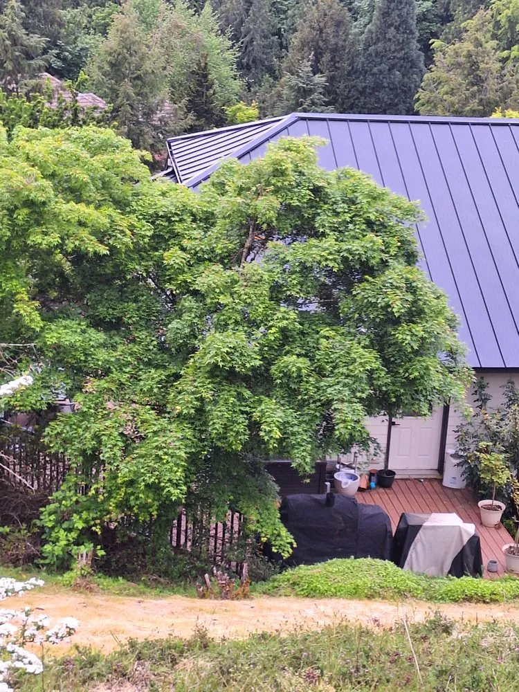 Slide of J's Forever Roofing