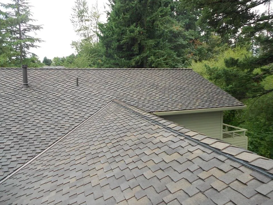 Slide of JS Roofing