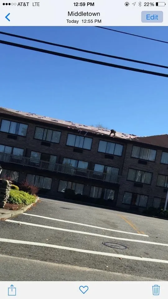 Slide of J&S Roofing Company