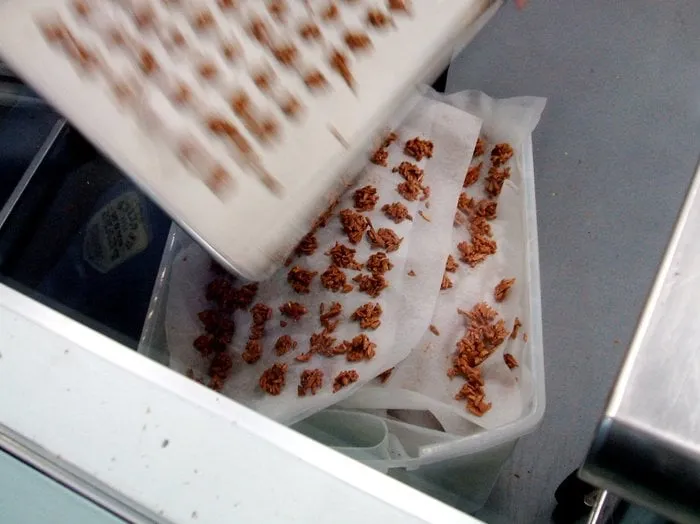 Slide of JT Roofing & Maintenance