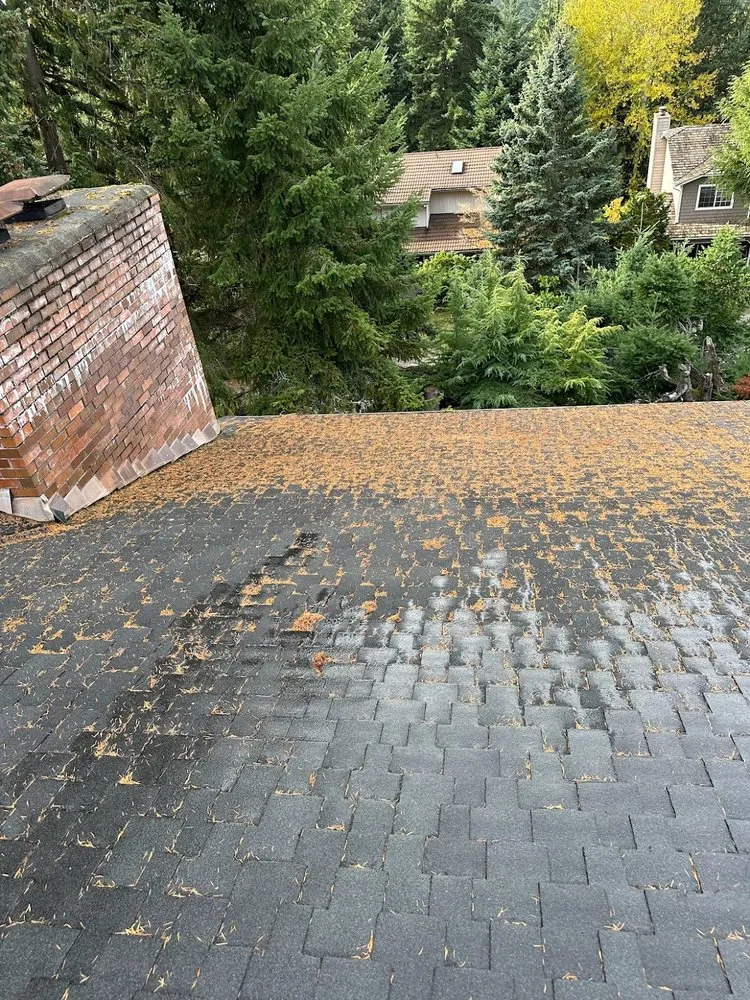 Slide of JTC Cleaning Services Roofing And Gutters