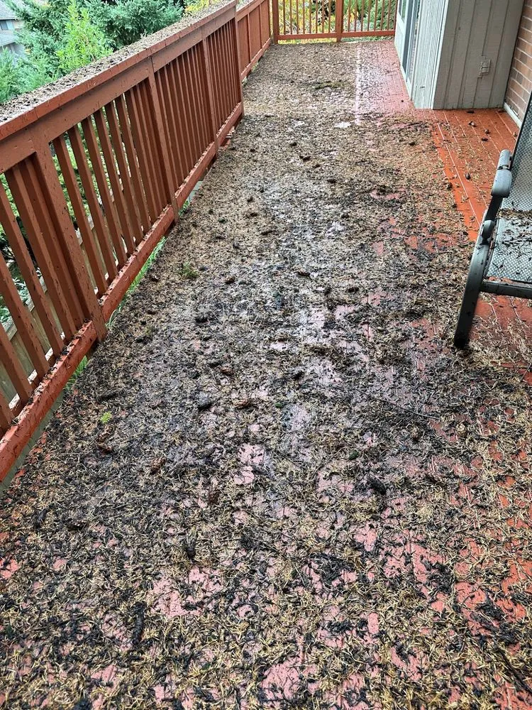 Slide of JTC Cleaning Services Roofing And Gutters