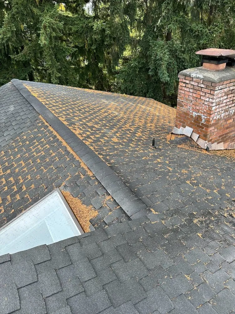 Slide of JTC Cleaning Services Roofing And Gutters