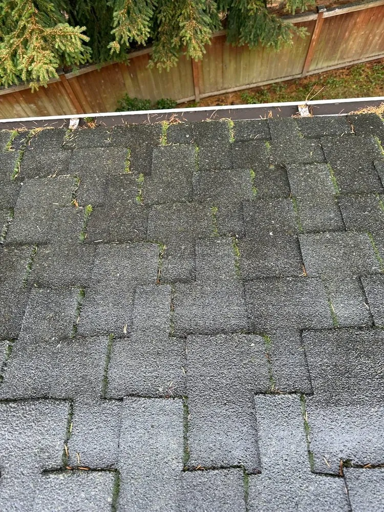 Slide of JTC Cleaning Services Roofing And Gutters