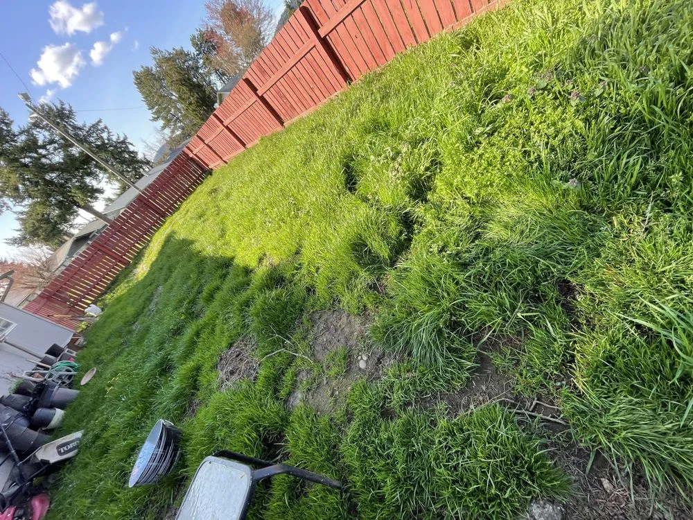 Slide of Juan Godoy’s Landscape and Cleaning Services