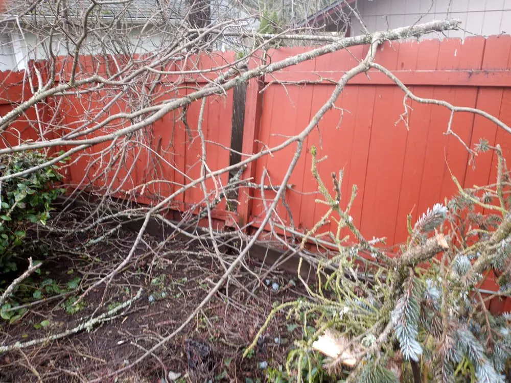 Slide of Juan Godoy’s Landscape and Cleaning Services