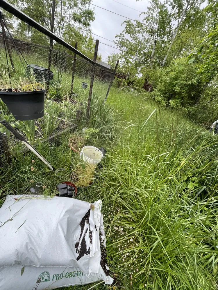 Slide of Juan Godoy’s Landscape and Cleaning Services