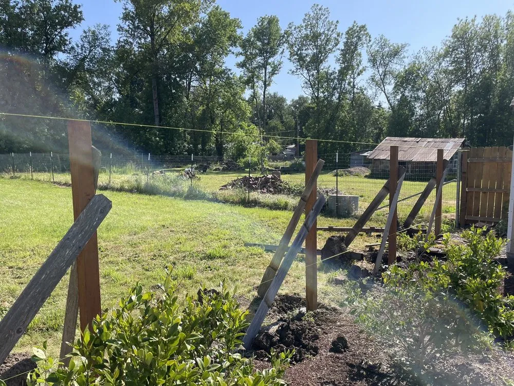 Slide of Juan Godoy’s Landscape and Cleaning Services