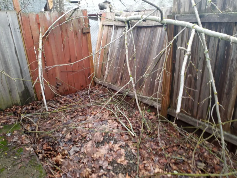 Slide of Juan Godoy’s Landscape and Cleaning Services