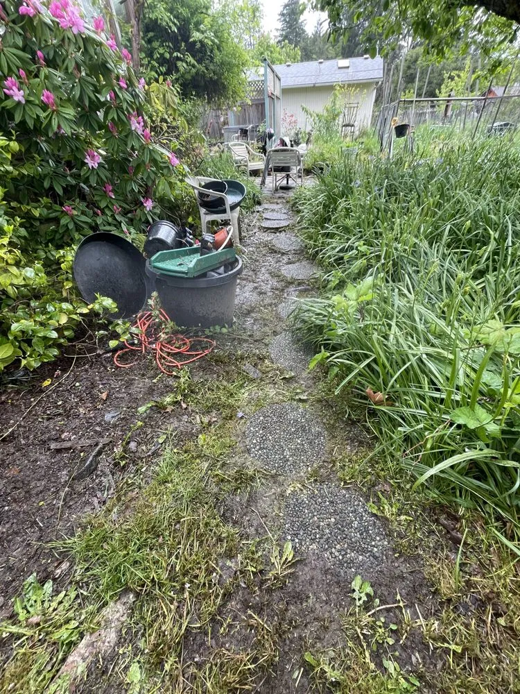 Slide of Juan Godoy’s Landscape and Cleaning Services