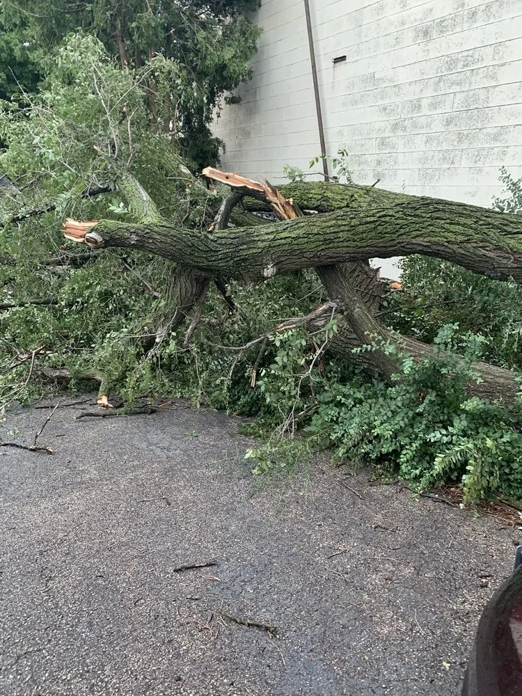 Slide of Juan's Services