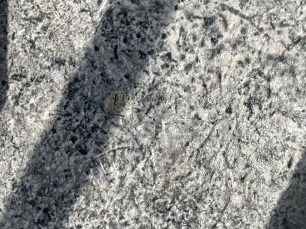 Slide of Juarez JZ Construction