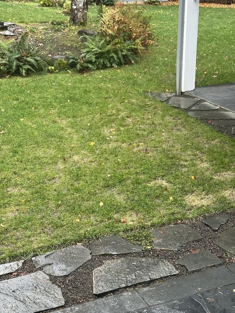 Slide of Julian's Construction & Landscape