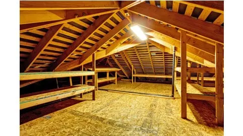 Slide of Juns Mold Remediation