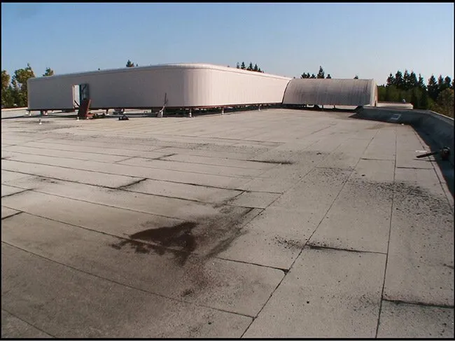 Slide of Just Leaks Inc