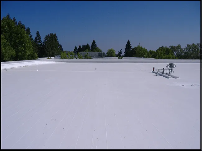 Slide of Just Leaks Inc