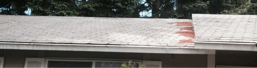 Slide of Just N Time Construction LLC