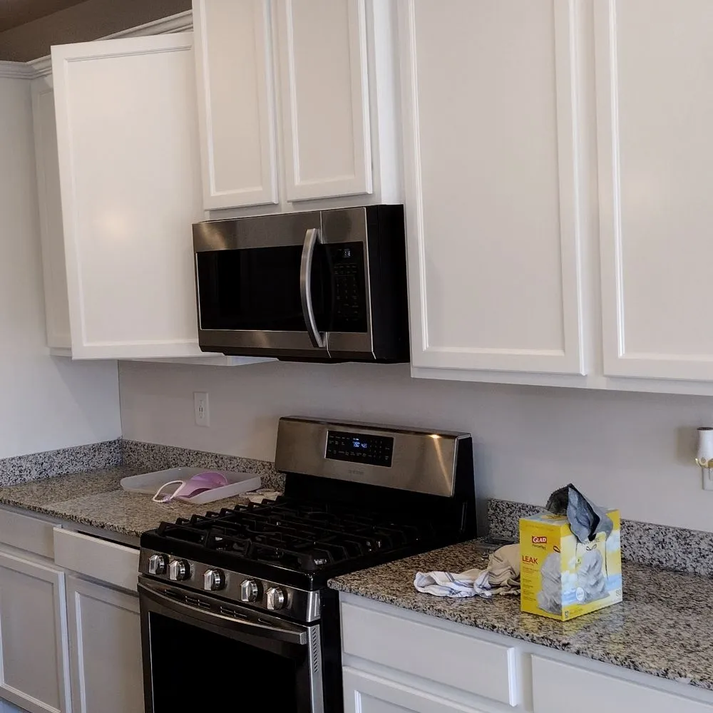 Slide of Just Paint It