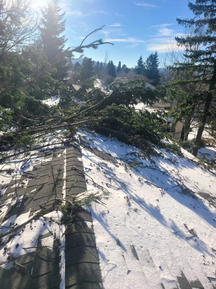 Slide of Just Repair It